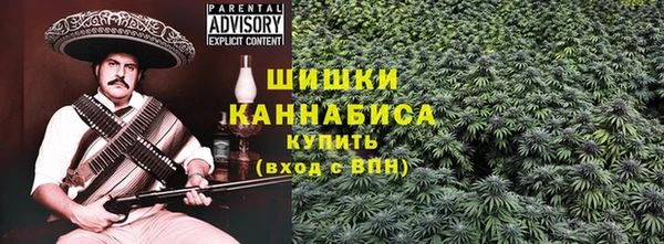 дживик Заводоуковск