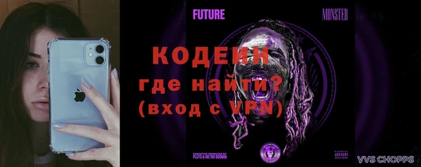 прущие крисы Ельня