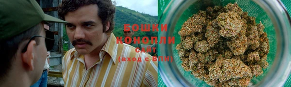 дживик Заводоуковск