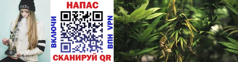 Шишки марихуана OG Kush Купить закладки Мглин